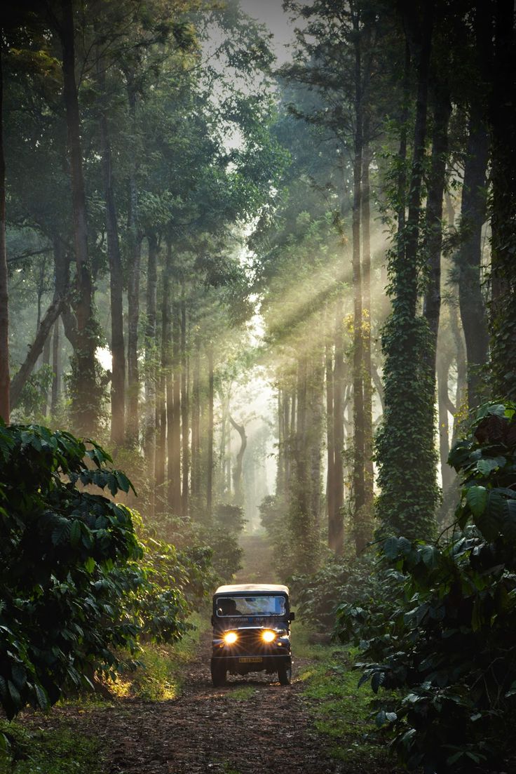 Coorg