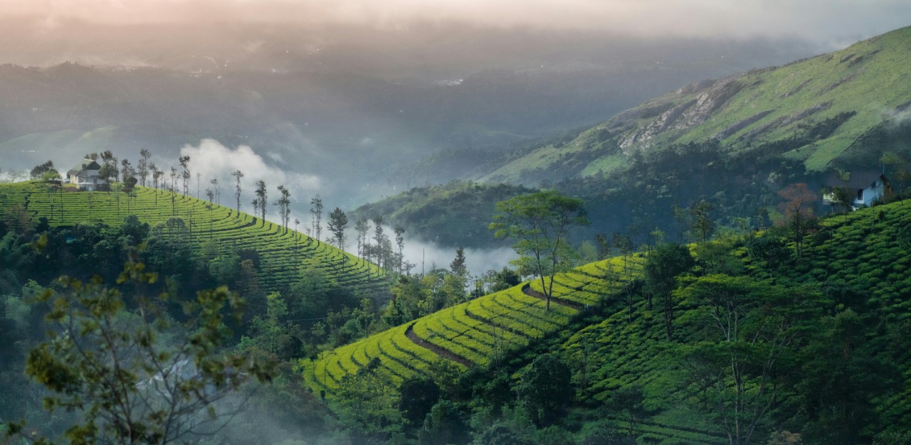Munnar